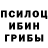 Псилоцибиновые грибы Psilocybe Redbattle Bigboss