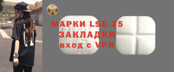 стаф Магас