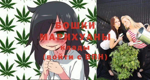 стаф Магас