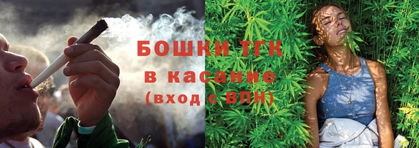 стаф Магас
