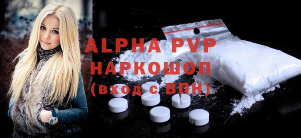 стаф Магас