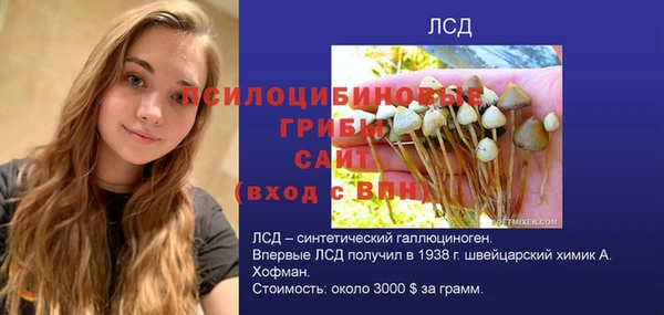стаф Магас