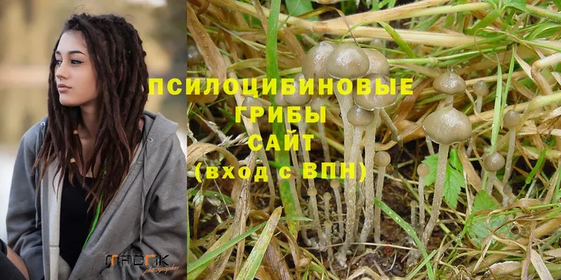 Галлюциногенные грибы MAGIC MUSHROOMS Северодвинск