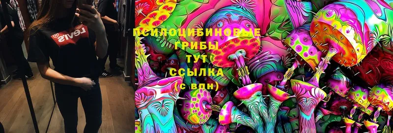 Псилоцибиновые грибы Magic Shrooms  цена   блэк спрут зеркало  Северодвинск 